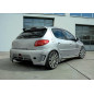 Paraurti posteriore Peugeot 206 (Cod. S-P206-R-1-K)