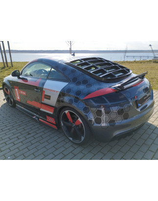 Louver lunotto in plastica ABS Audi TT 8J - Nero opaco da verniciare (Cod. S-AUTT8J-WL-01-AA)