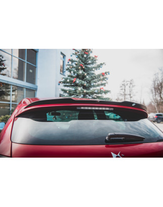 Spoiler Cap Citroen DS4 (Cod. M-CI-DS4-1-CAP1G)