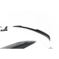 Spoiler Cap Cupra Ateca Mk1 / Mk1 Facelift (Cod. M-CU-AT-1-CAP1G)
