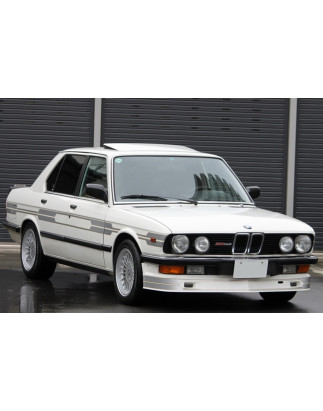 Sottoparaurti anteriore BMW Serie 5 E28 (Cod. C-C-L-CSP0078)