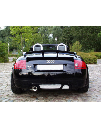 Spoiler posteriore sportivo Audi TT 8N (1999-2006) (Cod. C-C-L-CSP0089)