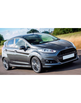 Minigonne laterali Ford Fiesta MK7 5 porte Zetec S / ST (Cod. C-C-L-CSP0171)