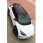 Spoiler posteriore Toyota Yaris Cross (Cod. C-C-L-CSP0215)