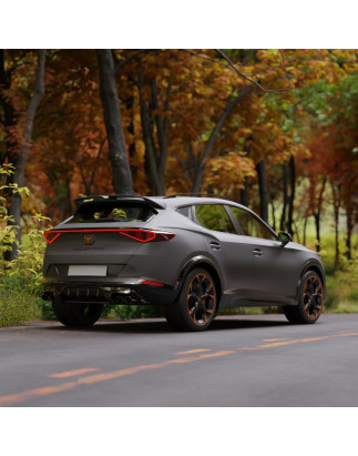 Spoiler posteriore CUPRA Formentor 2020-2024 (Cod. C-C-L-CSP0219)