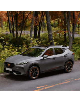Spoiler posteriore CUPRA Formentor 2020-2024 (Cod. C-C-L-CSP0219)