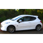 Minigonne laterali Peugeot 207 stile GTI (2006-2012) (Cod. C-C-L-CSP0250)