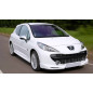 Minigonne laterali Peugeot 207 stile GTI (2006-2012) (Cod. C-C-L-CSP0250)