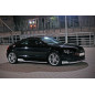 Sottoparaurti anteriore Audi TT 8J (Cod. C-C-L-CSP0257)