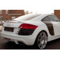 Spoiler posteriore Audi TT 8J (2006-2014) (Cod. C-C-L-CSP0260)