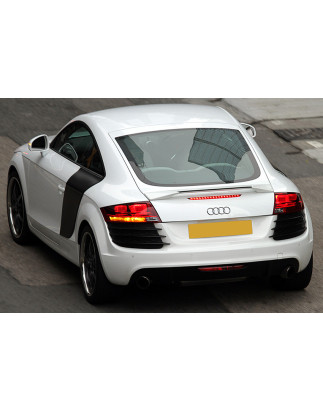Spoiler posteriore Audi TT 8J (2006-2014) (Cod. C-C-L-CSP0260)