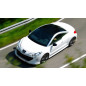 Sottoparaurti anteriore Peugeot Rcz (Cod. C-C-L-CSP0334)