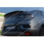 Spoiler posteriore Renault Arkana (Cod. C-C-L-CSP0435)