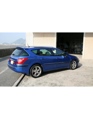 Spoiler posteriore Peugeot 407 SW station wagon (2004-2011) (Cod. C-C-L-CSP0439)