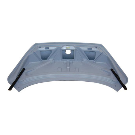 Portellone Posteriore BMW E63 CSL (Cod. E-PORTB37)