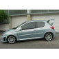 Spoiler posteriore Peugeot 206 stile WRC (Cod. C-C-L-CSP0553)