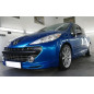 Sottoparaurti anteriore Peugeot 207 (2006-2009) (Cod. C-C-L-CSP0555)