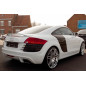 Spoiler bagagliaio Audi TT 8J (Cod. C-C-L-CSP0614)