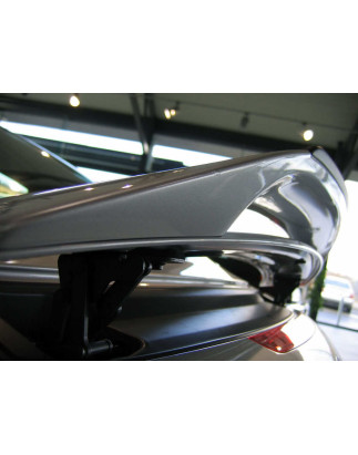 Spoiler bagagliaio Audi TT 8J (Cod. C-C-L-CSP0614)