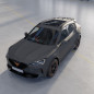Spoiler posteriore CUPRA Formentor 2020-2024 (Cod. C-C-L-CSP0617)