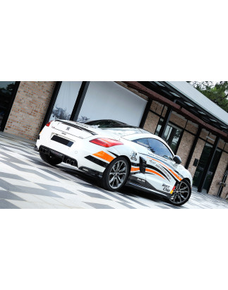Sottoparaurti posteriore Peugeot RCZ (2009-2015) (Cod. C-C-L-CSP0628)