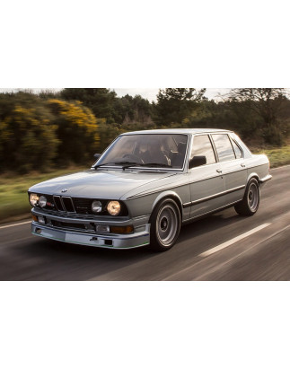 Sottoparaurti anteriore BMW Serie 5 E28 (Cod. C-C-L-CSP0650)