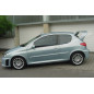 Spoiler posteriore Peugeot 206 WRC (Cod. C-C-L-CSP0680)