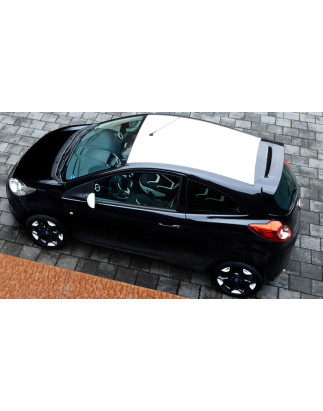 Spoiler posteriore Ford Ka (2009-2016) (Cod. C-C-L-CSP0723)