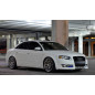 Sottoparaurti anteriore Audi A4 B7 (modello 2004-2007) (Cod. C-C-L-CSP0824)