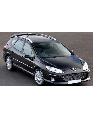 Spoiler posteriore Peugeot 407 SW station wagon (2004-2011) (Cod. C-C-L-CSP0843)