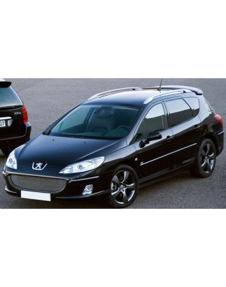 Spoiler posteriore Peugeot 407 SW station wagon (2004-2011) (Cod. C-C-L-CSP0843)