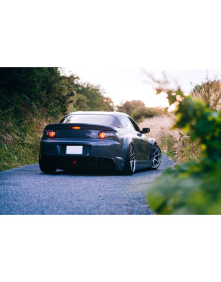 Spoiler posteriore Mazda RX-8 (RX8) (Cod. C-C-L-CSP0874)