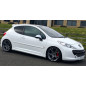 Minigonne laterali Peugeot 207 stile GTI (2006-2012) (Cod. C-C-L-CSP0979)