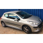 Minigonne laterali Peugeot 207 stile GTI (2006-2012) (Cod. C-C-L-CSP0979)