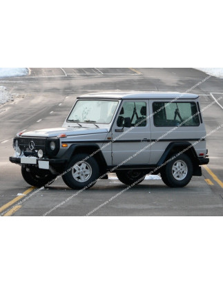 Estensioni passaruota Mercedes-Benz Classe G W460 W461 (Cod. C-C-L-CSP1011)