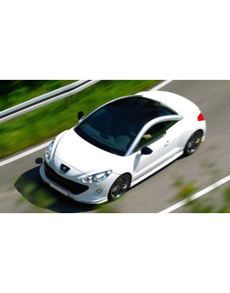 Sottoparaurti anteriore Peugeot Rcz (2010-2012) (Cod. C-C-L-CSP1024)