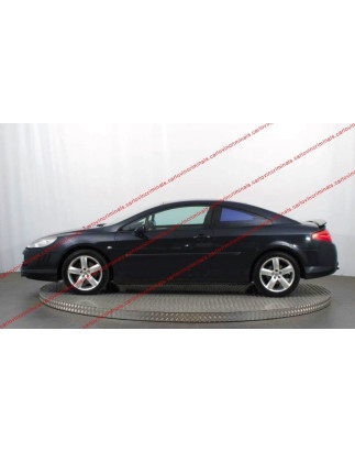 Spoiler posteriore Peugeot 407 Coupé (Cod. C-C-L-CSP1038)
