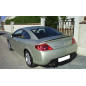 Spoiler posteriore Peugeot 407 Coupé (Cod. C-C-L-CSP1059)
