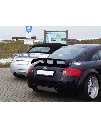 Spoiler posteriore Audi TT (Cod. C-C-L-CSP1255)