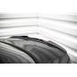 Spoiler Cap Audi S8 D3 (Cod. M-AU-S8-D3F-CAP1G)
