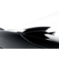 Spoiler Cap BMW X6 M-Pack G06 / G06 Facelift / X6 M F96 / F96 Facelift (Cod. M-BM-X6-06-MPACK-CAP1G)