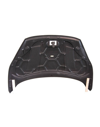 Cofano Carbonio Ford Fiesta 2014-2017 C/T (Cod. E-TCF00521)