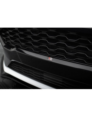 Griglia anteriore Ford Fiesta ST / ST-Line Mk8 (Cod. M-FO-FI-8-ST-G1G)