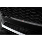 Griglia anteriore Ford Fiesta ST / ST-Line Mk8 (Cod. M-FO-FI-8-ST-G1G)