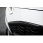 Griglia anteriore Ford Fiesta ST / ST-Line Mk8 (Cod. M-FO-FI-8-ST-G1G)