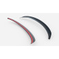 Spoiler Cap Ford S-Max Mk1 Facelift (Cod. M-FO-SMAX-1F-CAP1G)