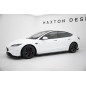 Diffusori minigonne V.3 Tesla Model 3 Mk1 / Mk1 Facelift (Cod. M-TE-MODEL3-1-SD2G)