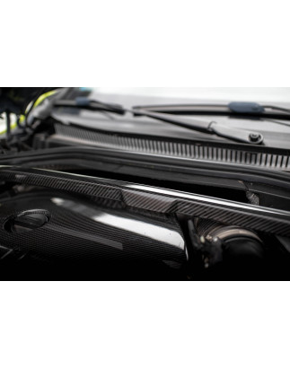 Copertura barra duomi in fibra di carbonio BMW 1 F40 M135i (Cod. M-CF-BM-1-40-M-SB1-245-P)