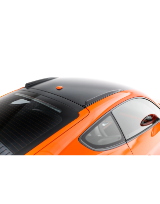 Short Roof Rails Porsche 718 Cayman GT4 RS 982c (Cod. M-PO-CA-718-GT4-RS-RR1G)