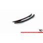 Spoiler Cap Mini Cooper Countryman R60 Facelift (Cod. M-MC-CO-1-CAP1G)